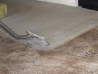 Carpet Cleaning Parramatta image 2